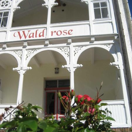 Pension Waldrose Sellin  Exterior foto